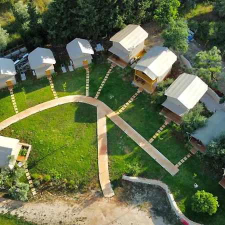 キャンプ場 Nirikos