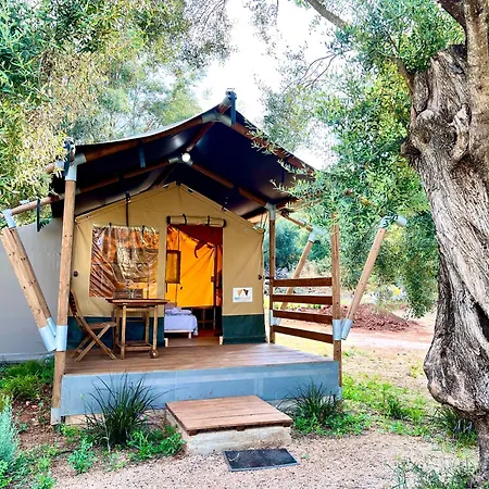 Nirikos キャンプ場 *